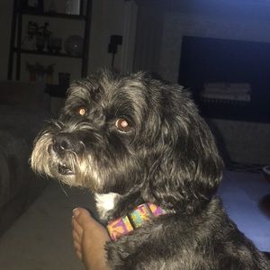 Meet your Posher, Kara